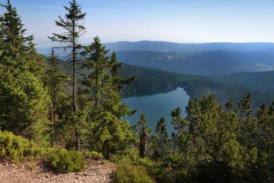 Apartmany U Sneka Železná Ruda Zewnętrze zdjęcie